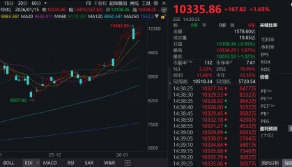 泰恩康股票(泰恩康股票301263)