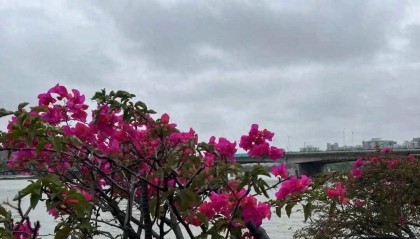 重庆开出五张金融监管罚单 最大罚单265万