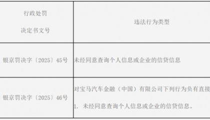 宝马汽车金融违规查询个人信息遭重罚，IT总监同被追责