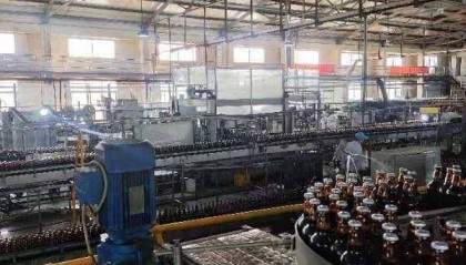 20余天！金融方案助力民企破局“商标”困境