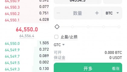 虚拟币bpp(bep20钱包地址在哪个链上使用)