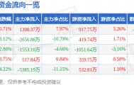 股票行情快报：数字认证（300579）1月19日主力资金净买入1390.37万元