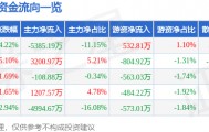 股票行情快报：数字认证（300579）1月13日主力资金净卖出5385.19万元