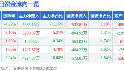 股票行情快报：数字认证（300579）1月13日主力资金净卖出5385.19万元