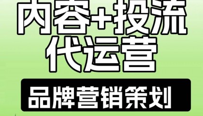 剖析小红书运营服务哪家靠谱，全国范围有好推荐吗？