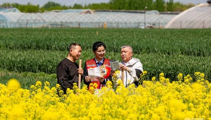 河南安阳：普及金融知识 筑牢安全防线