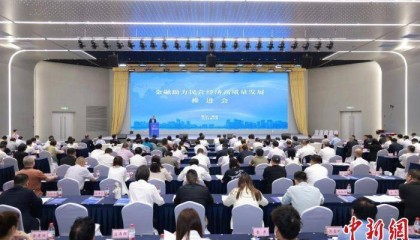 引导金融活水精准发力 浙江再挺民营经济