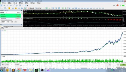 虚拟币回测(虚拟币行情查询)