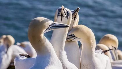 河南出台22项金融举措支持外贸增长