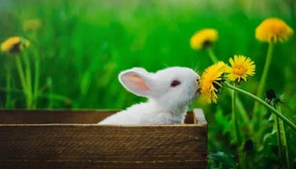 郑州18项举措激活科技 金融创新发展“一池春水”