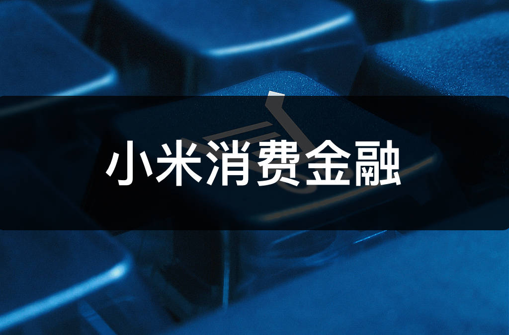 小米消费金融2024年净利润1.15亿元同比增长51.32%：总资产增长32.07%