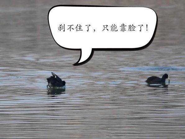 北京号最精彩｜首开首院文化金融产业园5月开园