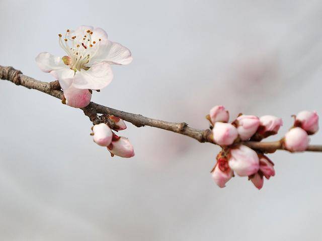 北京号最精彩｜首开首院文化金融产业园5月开园