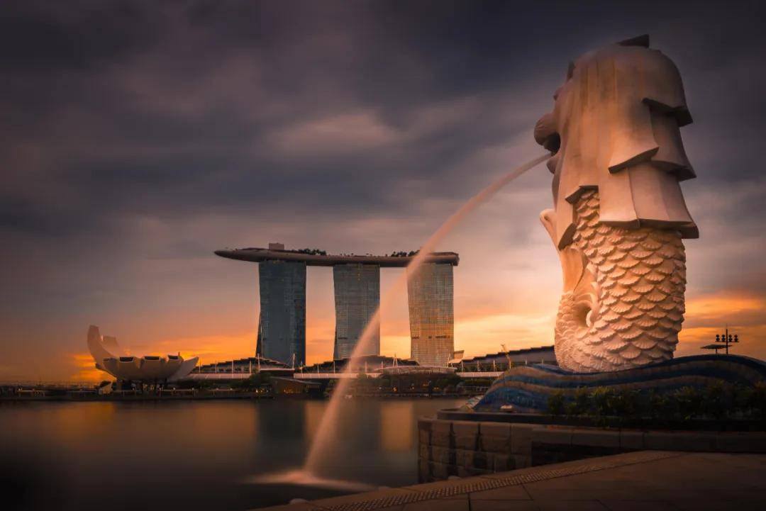 上海金融硕士必看！香港Top3金融专业留学中介深度测评