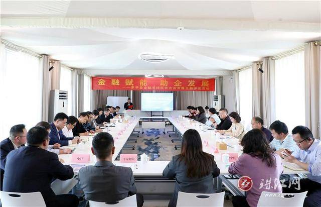 罗平：汇金融团体力量 助民营企业发展