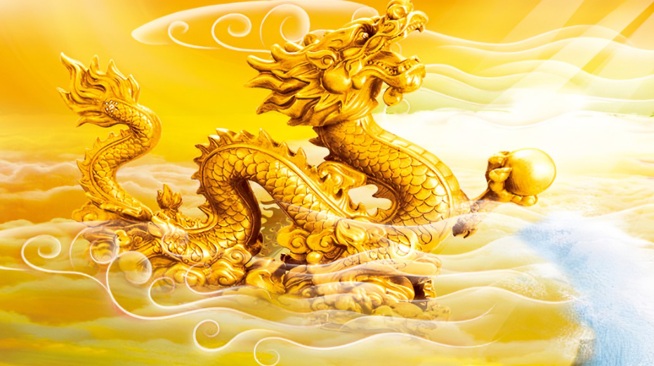 龙洲股份股票(龙洲股份股票还能涨吗)